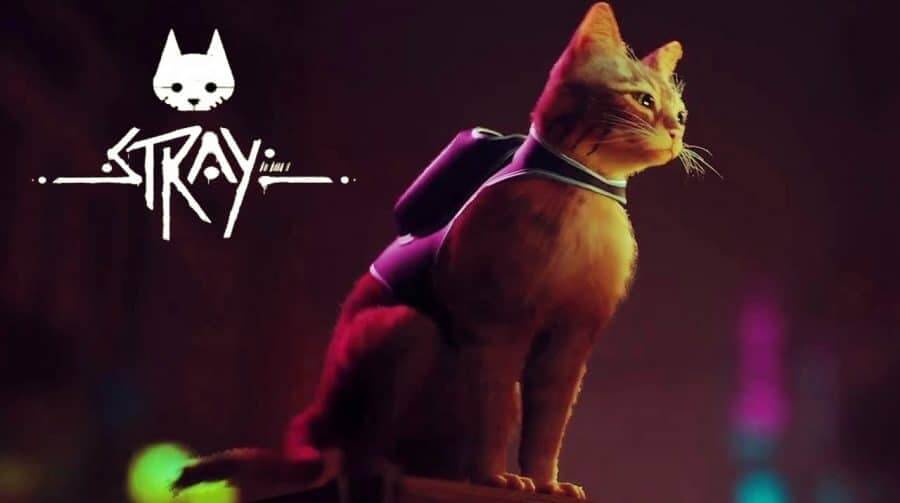 Stray【PS4/PS5】